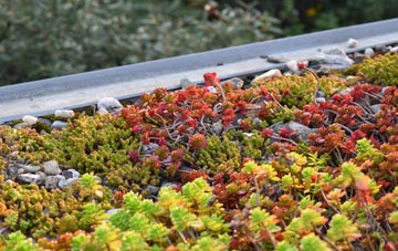the cost of Budworth Heath green roof installation