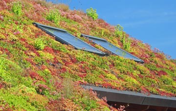 Budworth Heath living roof systems